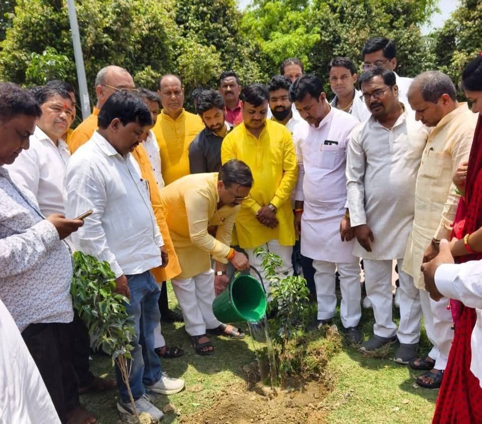 पर्यावरण दिवस के अवसर पर बीआरडी मेडिकल कॉलेज वूमेंस क्लब  द्वारा वृक्षरोपण कार्यक्रम