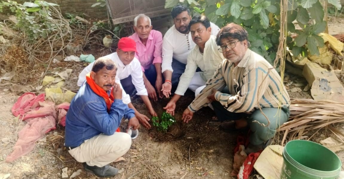 विश्व पर्यावरण दिवस पर बारी समाज सेवा समिति द्वारा वृक्षारोपण कार्यक्रम आयोजित