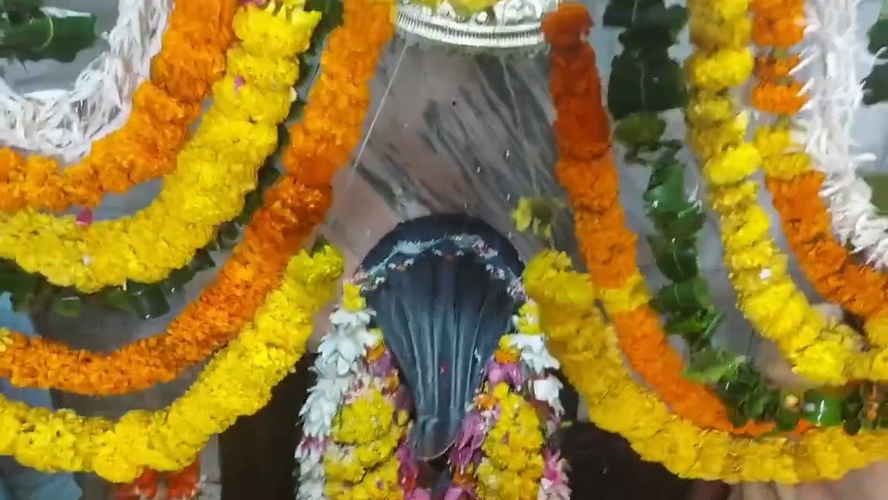 नागवासुकी मंदिर में नाग पंचमी पर उमड़ा आस्था का सैलाब